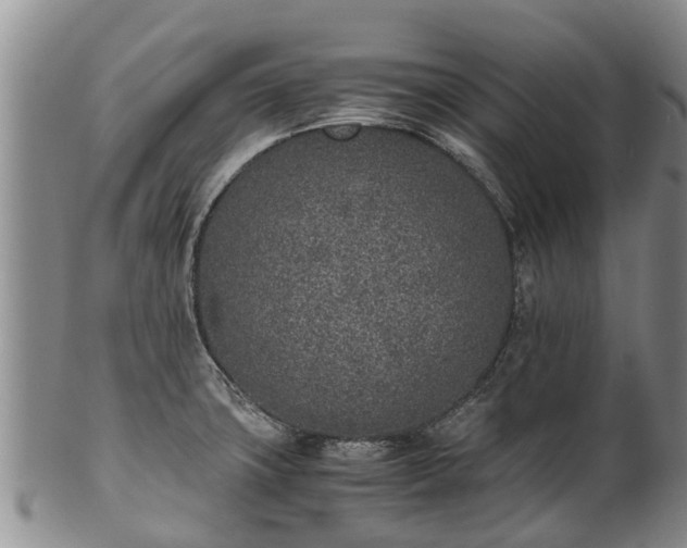 X0000102371427200808081142