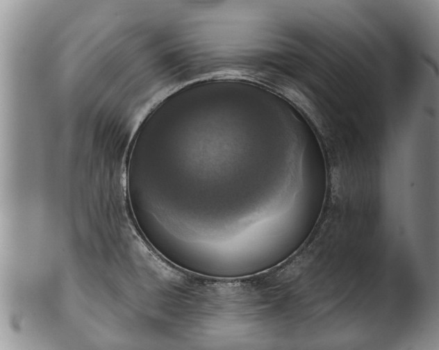 X0000102371428200808081142