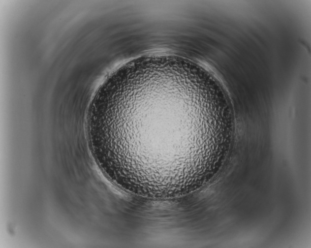 X0000102371429200808081142