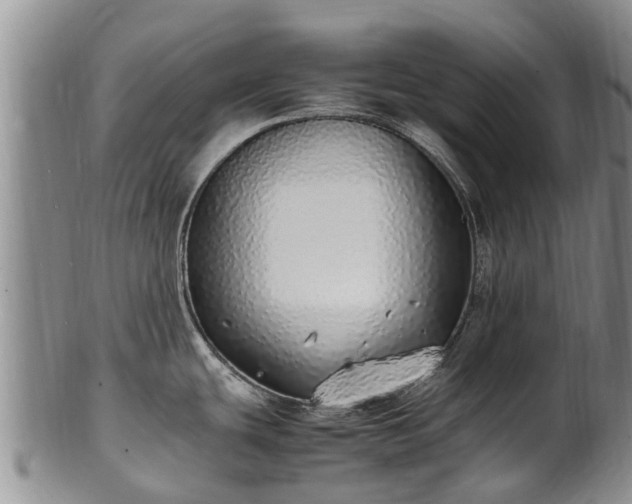 X0000102371439200808081143