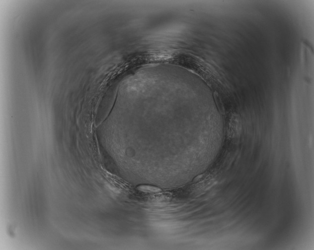 X0000102371441200808081142