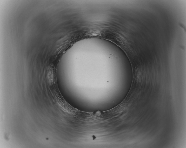 X0000102371442200808081142