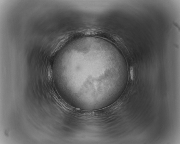 X0000102371444200808081142