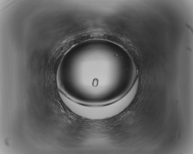 X0000102371445200808081142