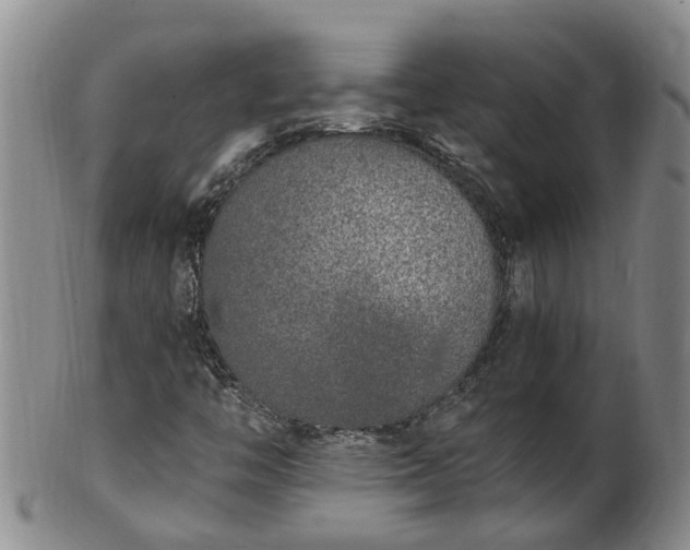 X0000102371446200808081142