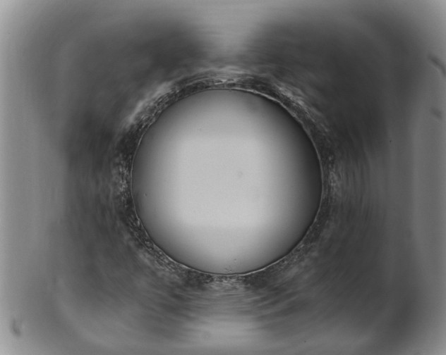 X0000102371447200808081142