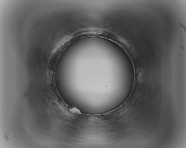 X0000102371448200808081142