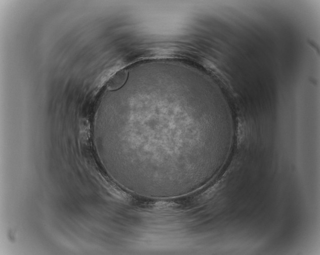 X0000102371449200808081142