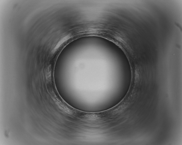 X0000102371450200808081142