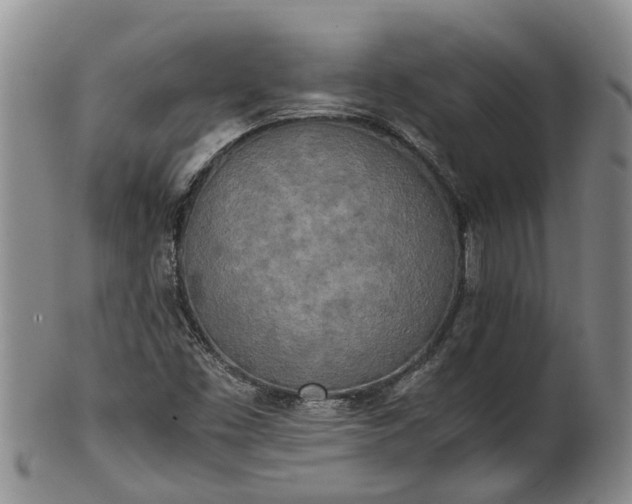 X0000102371453200808081142