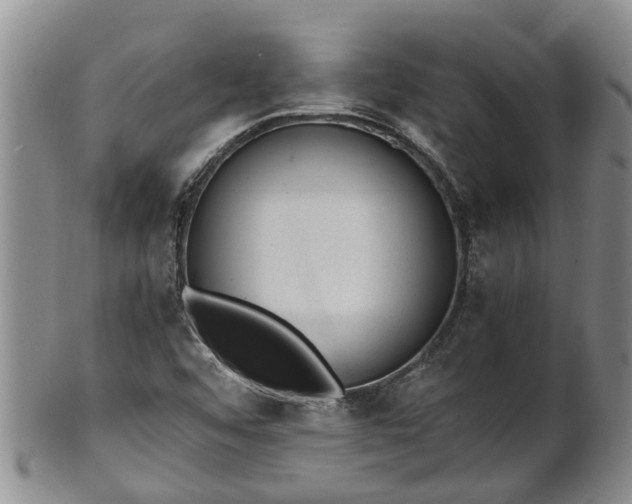 X0000102371456200808081142