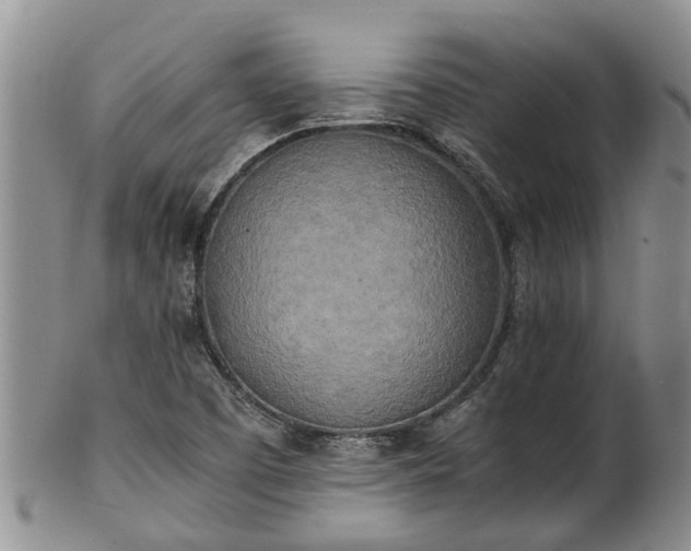 X0000102371457200808081142