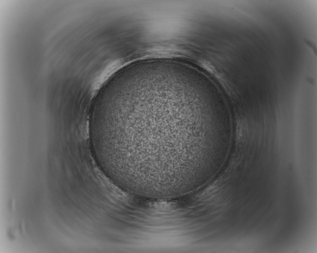 X0000102371459200808081142