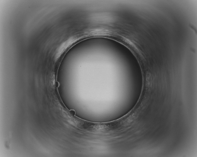 X0000102371461200808081141
