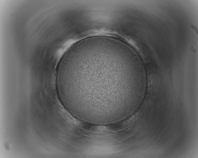 X0000102371463200808081141