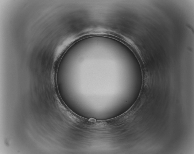 X0000102371464200808081141