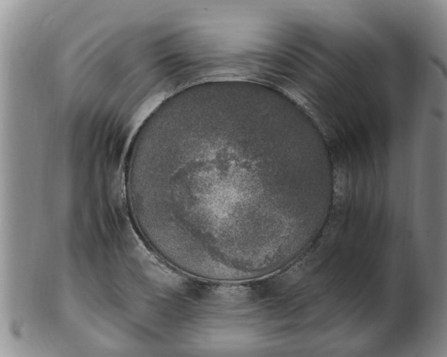 X0000102371466200808081141