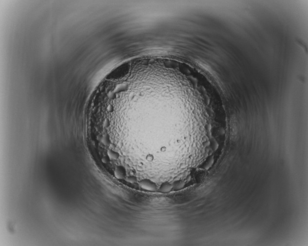 X0000102371467200808081141