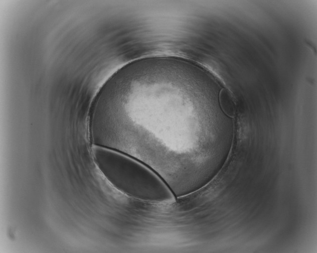X0000102371468200808081141