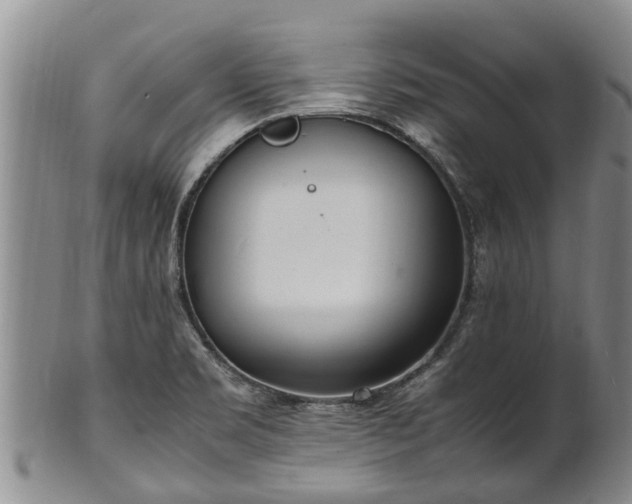 X0000102371469200808081141