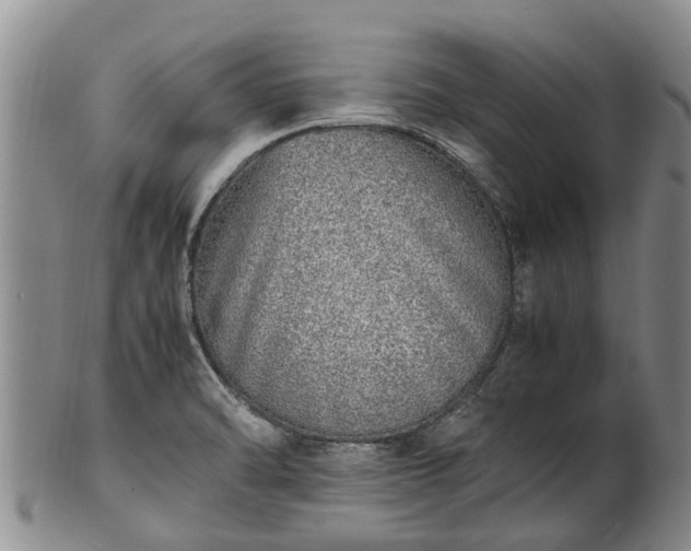 X0000102371470200808081141