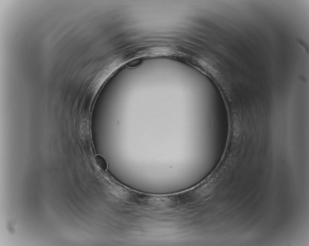 X0000102371473200808081141