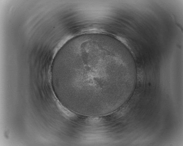 X0000102371474200808081141