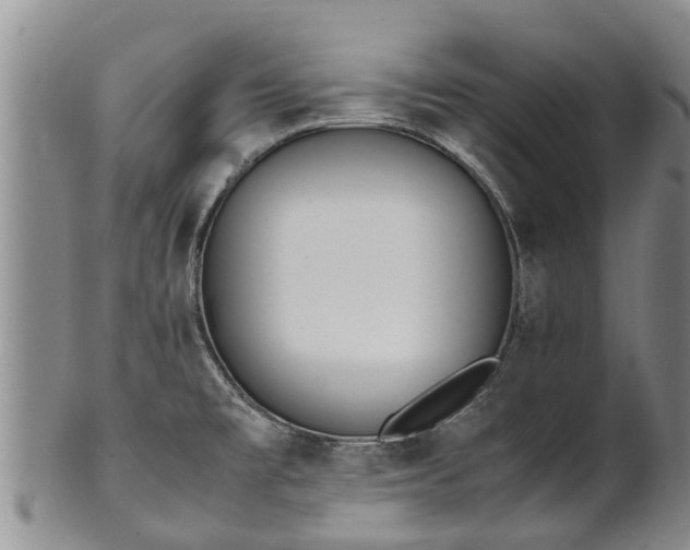 X0000102371477200808081141