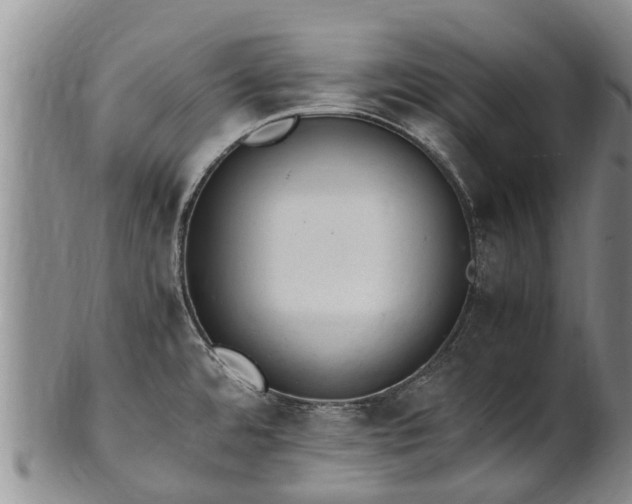X0000102371480200808081141