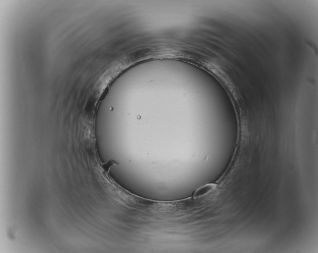 X0000102371481200808081141