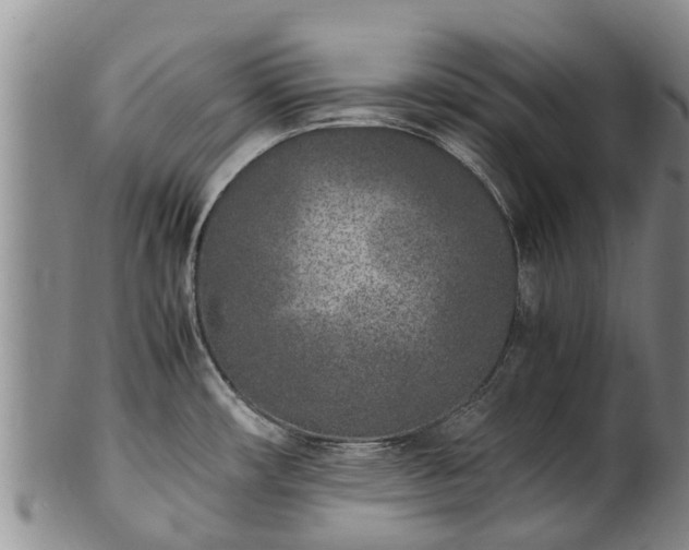 X0000102371482200808081141