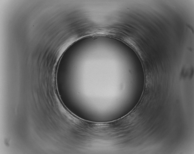 X0000102371483200808081141