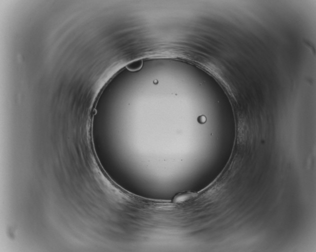 X0000102371484200808081141