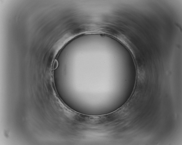 X0000102371485200808081141
