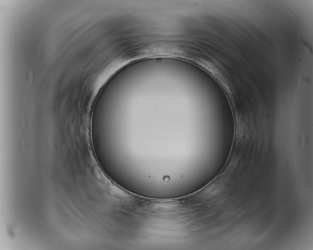 X0000102371486200808081141