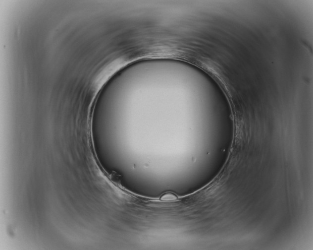 X0000102371487200808081141