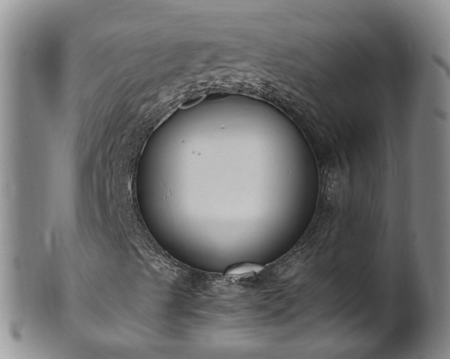 X0000102371489200808081140