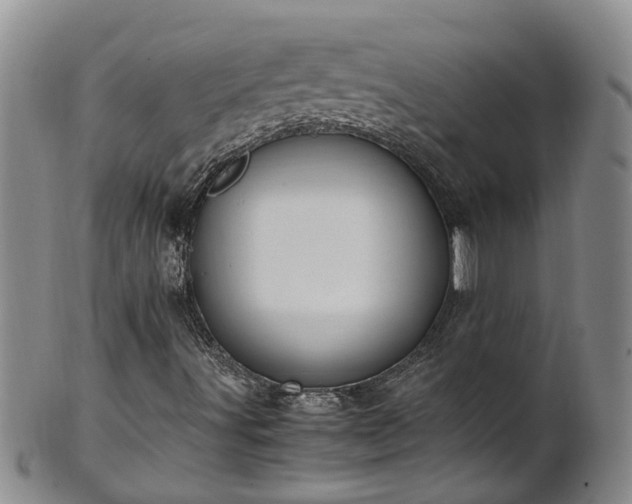 X0000102371491200808081140
