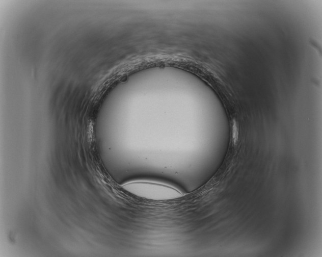 X0000102371492200808081141