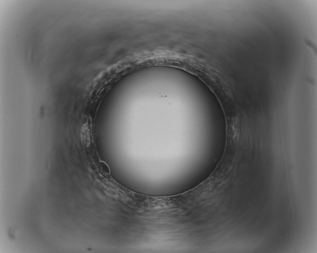 X0000102371493200808081141