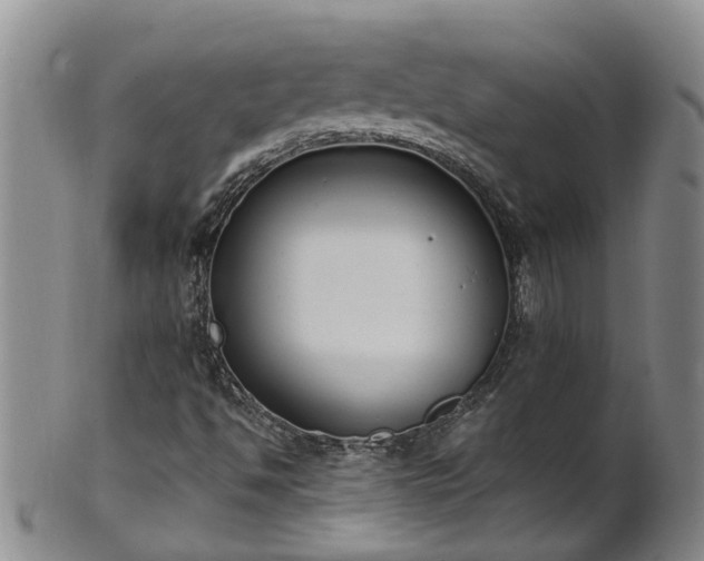 X0000102371494200808081141