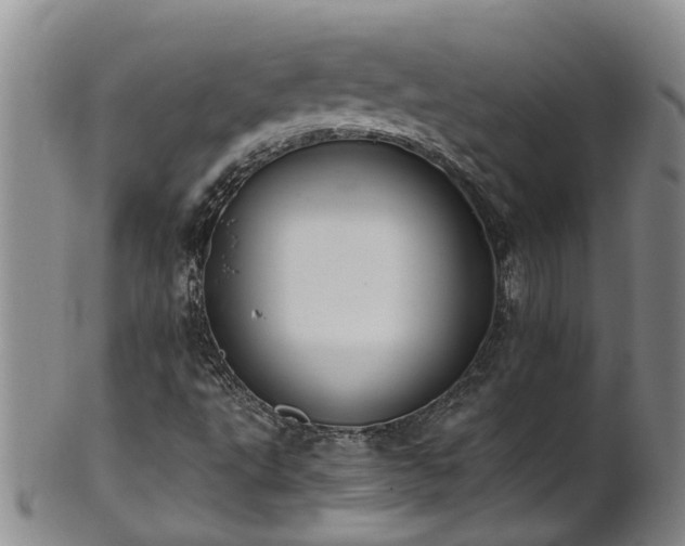 X0000102371495200808081141