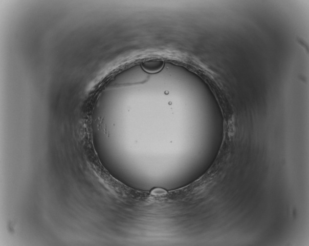 X0000102371496200808081141