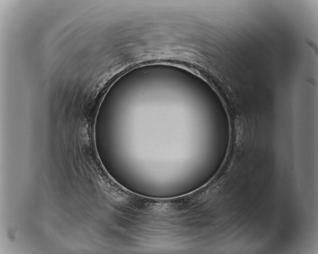 X0000102371497200808081141
