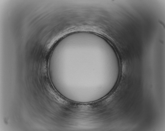 X0000102371498200808081141