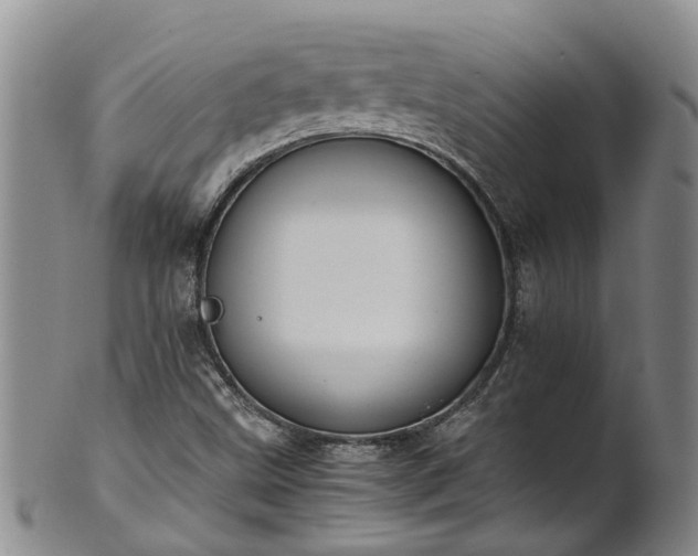 X0000102371499200808081141