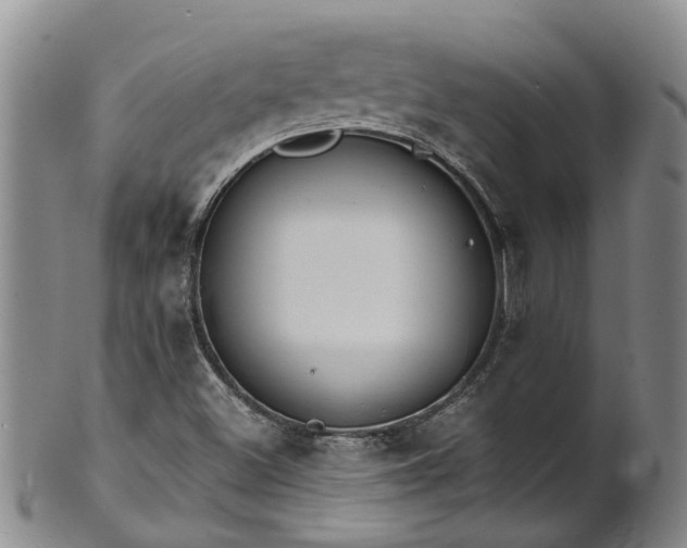 X0000102371500200808081141
