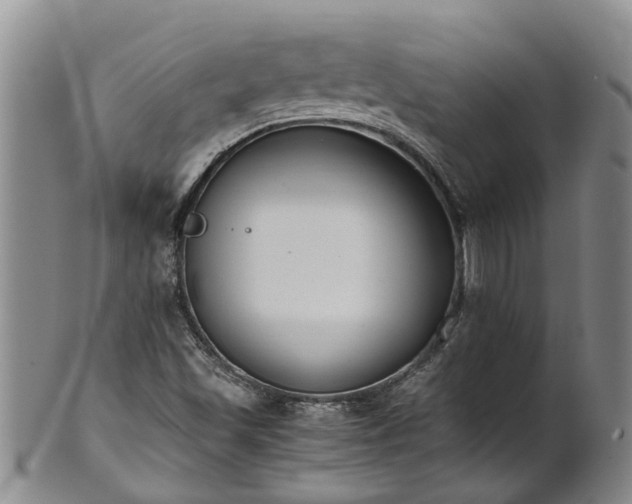 X0000102371501200808081141