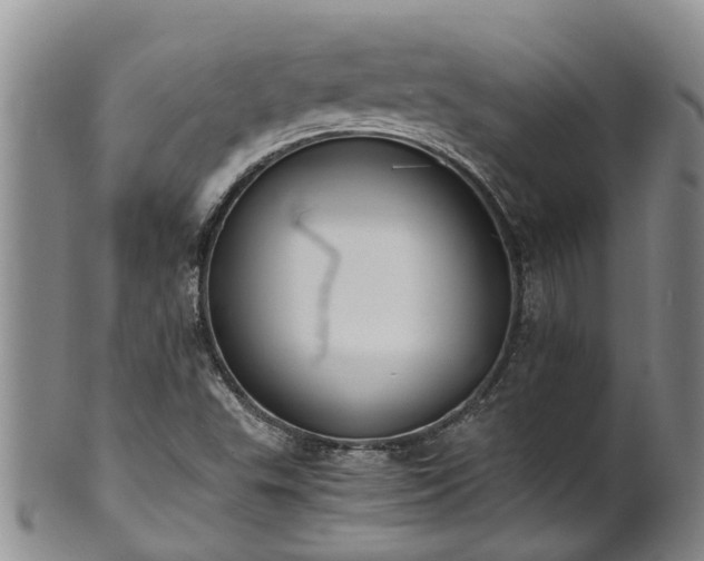 X0000102371503200808081141