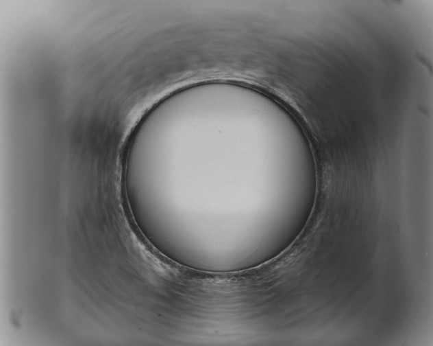 X0000102371508200808081141